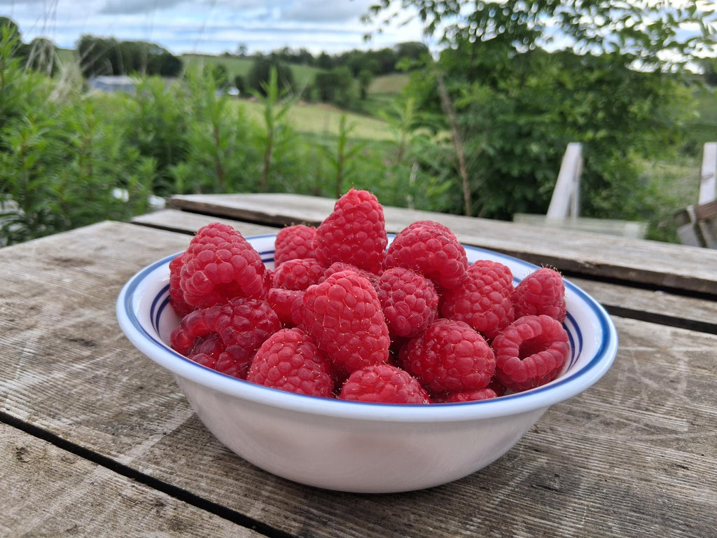 Raspberries - One Punnet