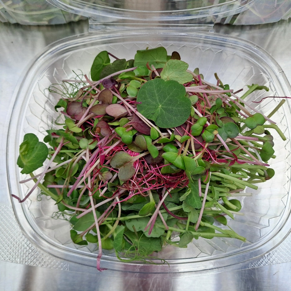 Mixed Microgreens Salad - Two Portions