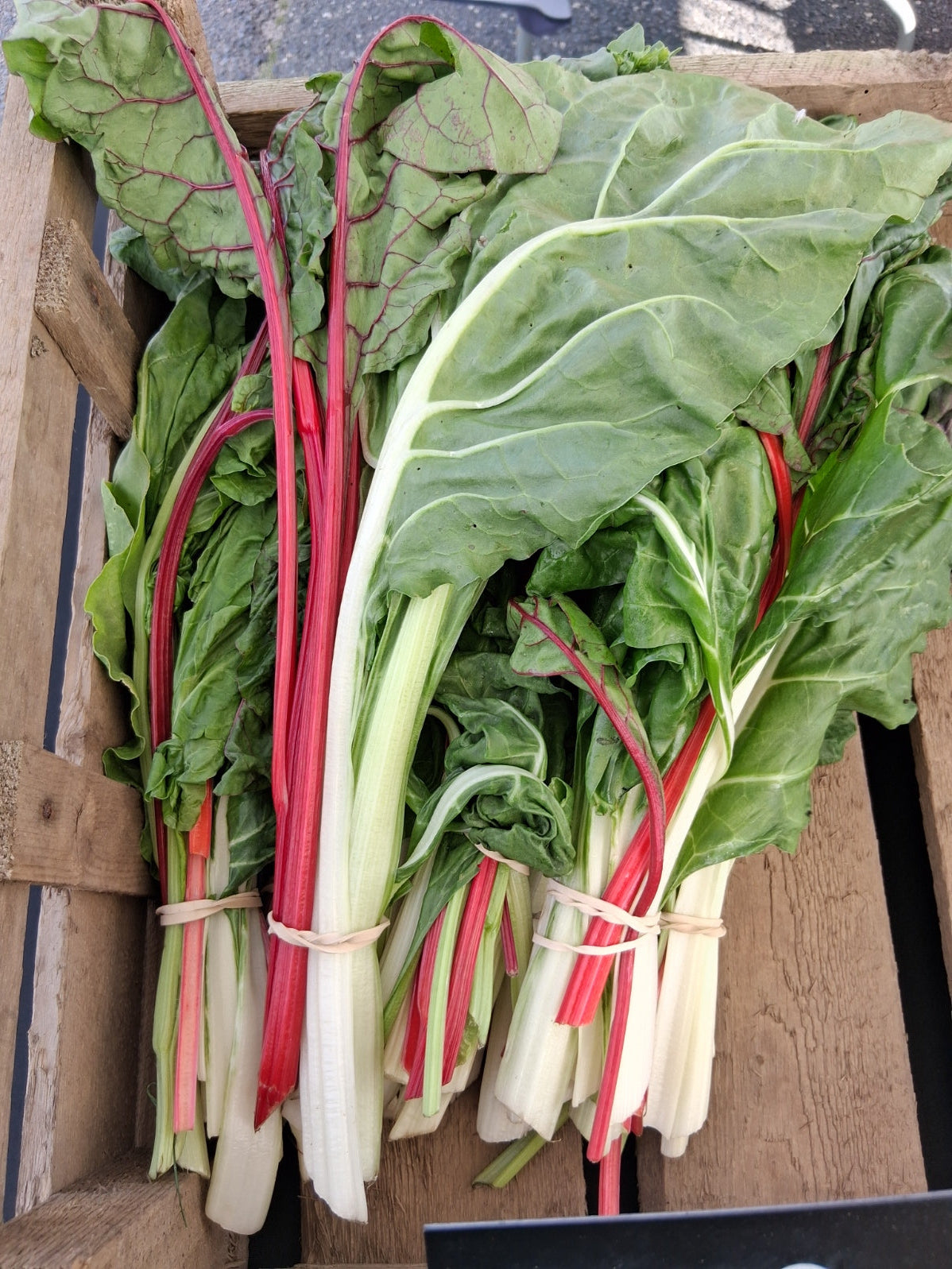 Chard