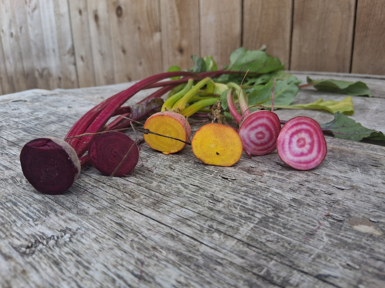 Beetroot