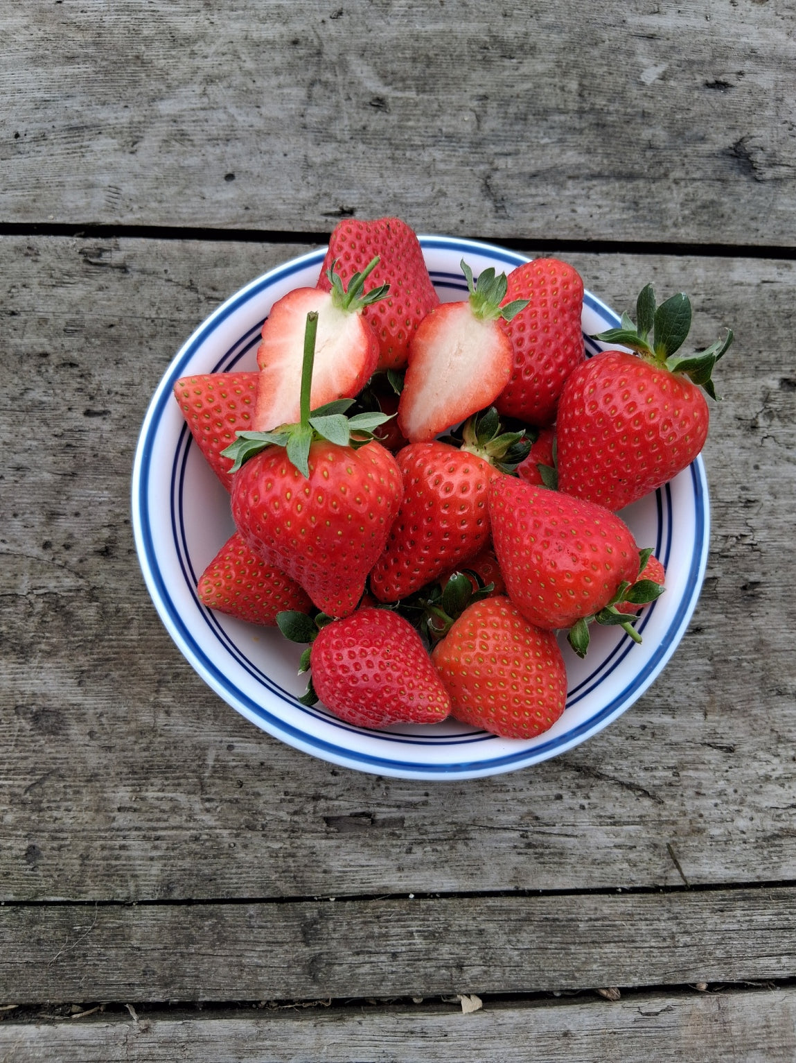 Strawberries - One Punnet