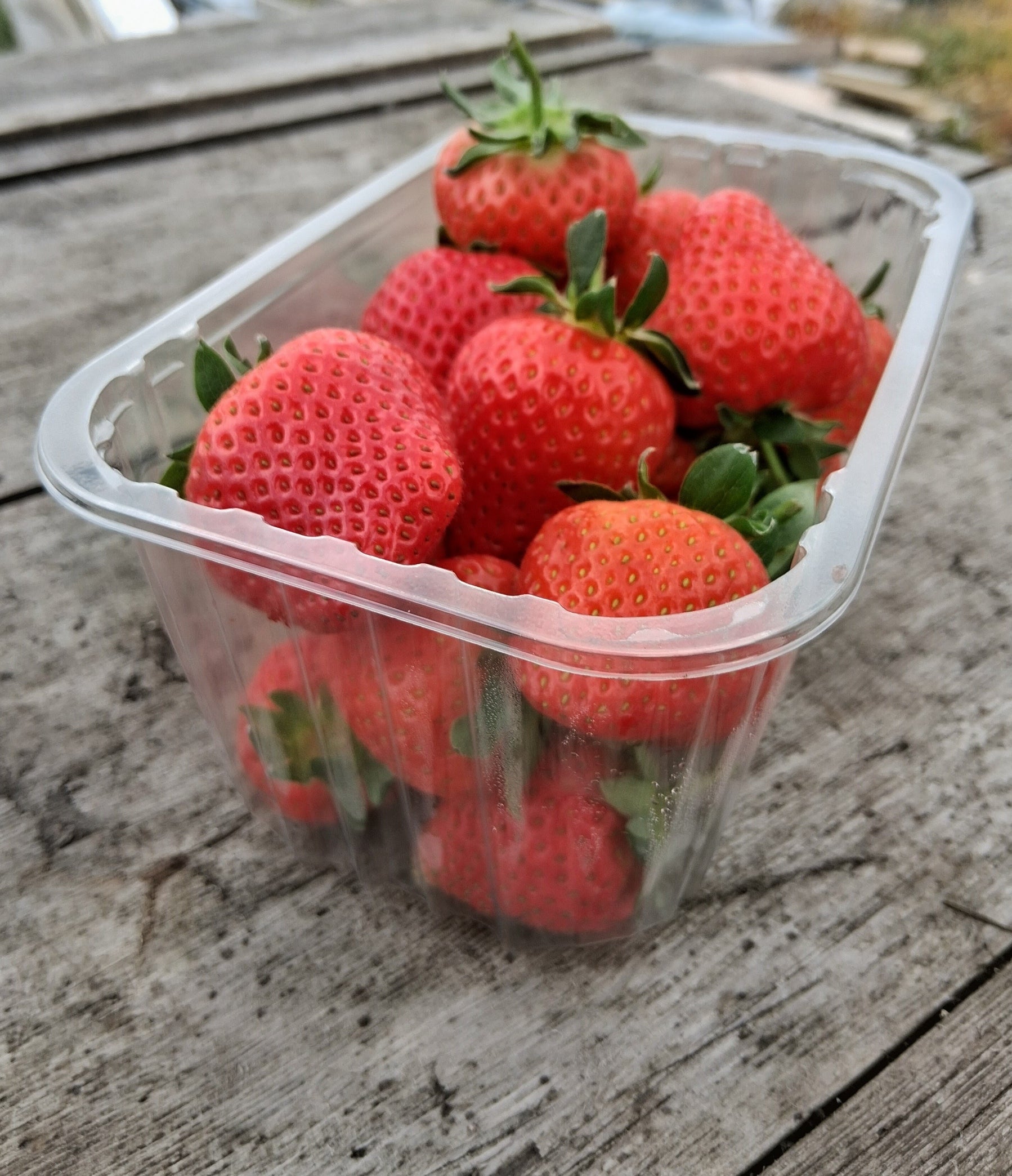 Strawberries - One Punnet