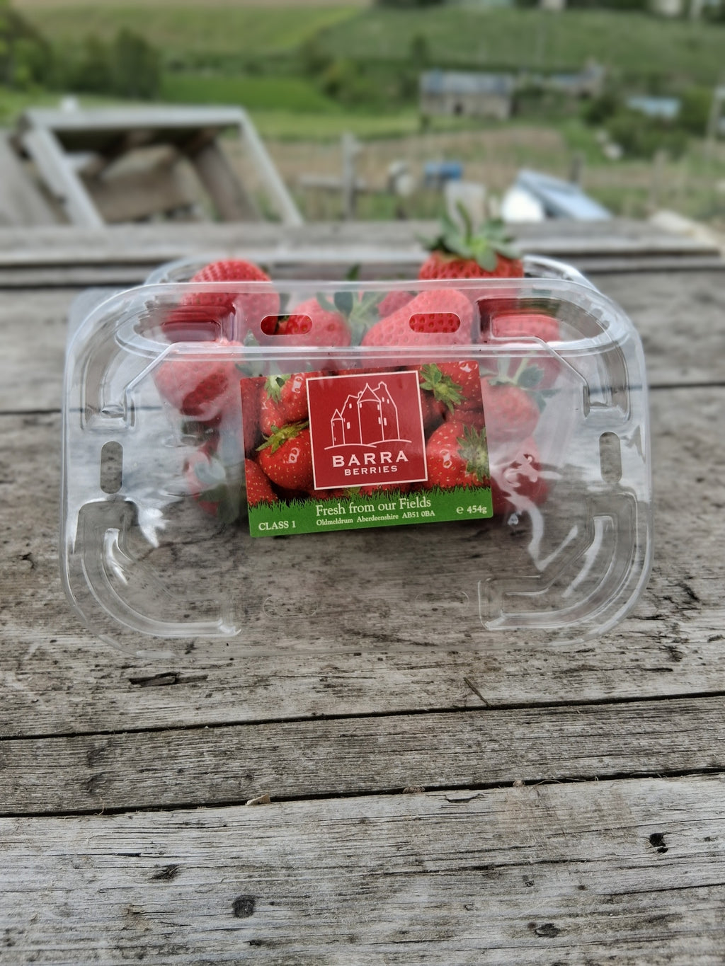 Strawberries - One Punnet