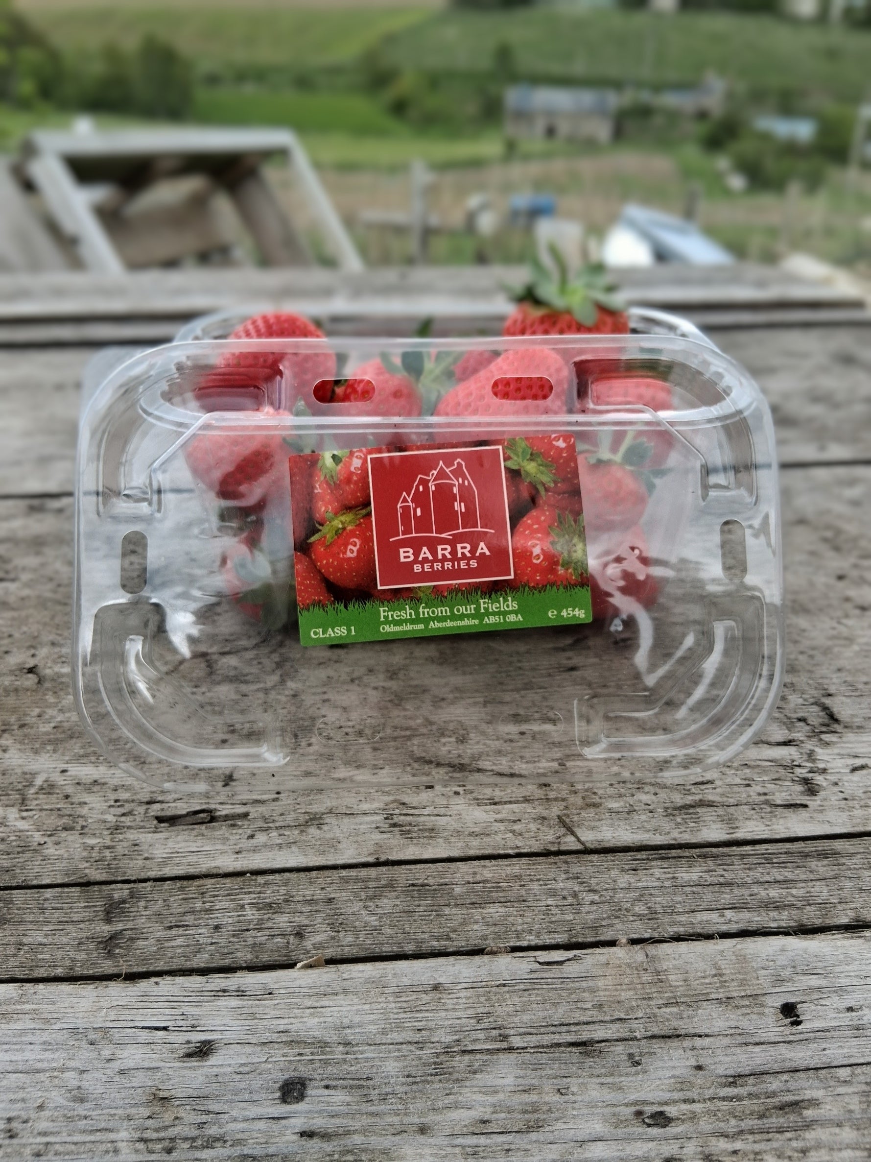 Strawberries - One Punnet