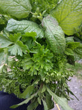 Parsley