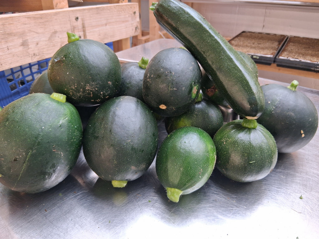 Courgettes