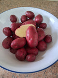 New Tatties