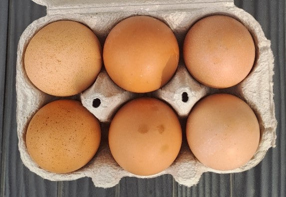 Eggs