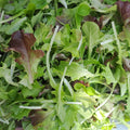 Mixed Salad Leaves